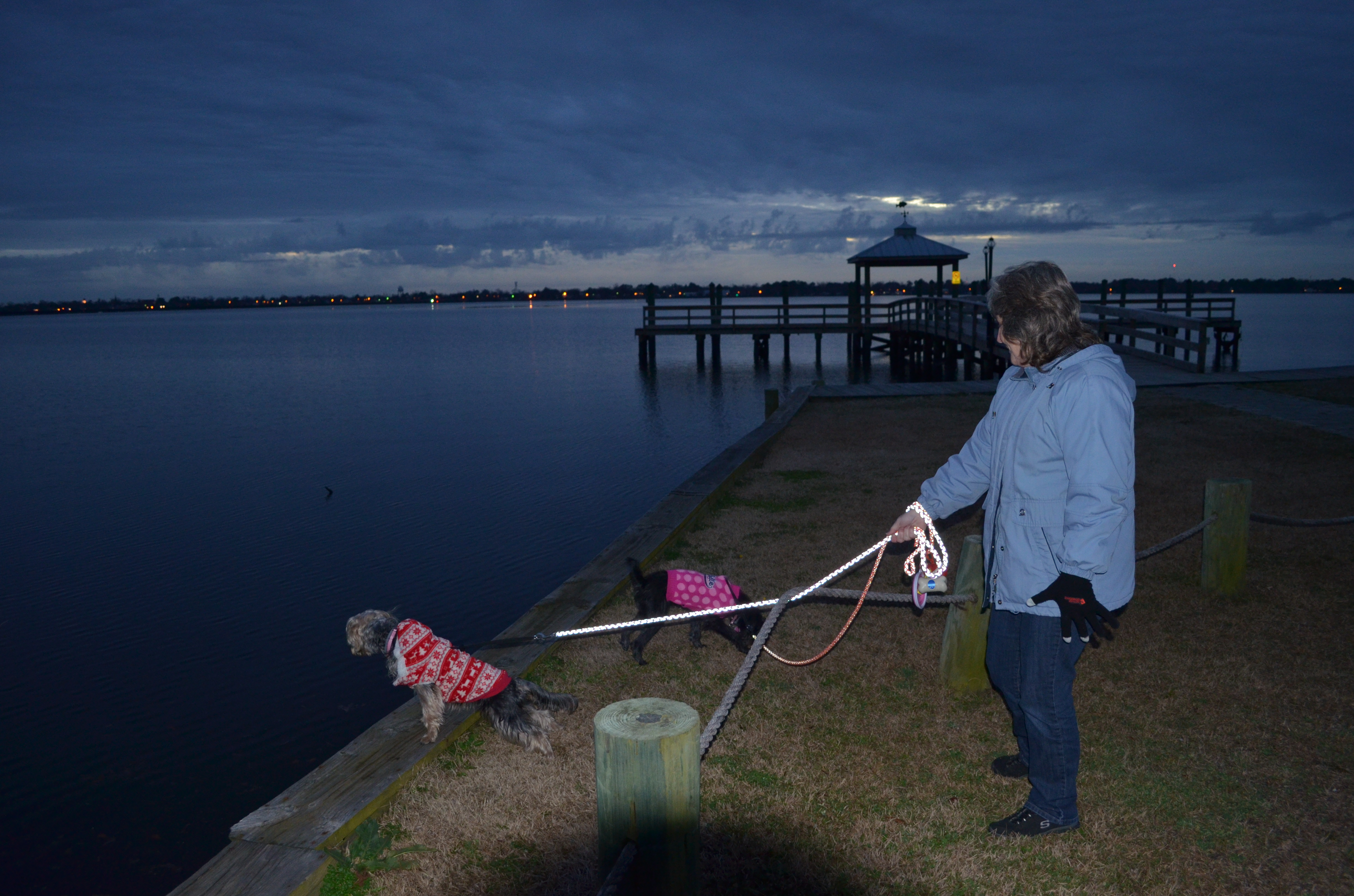 ./2017/01 - New Years/03 - KOA/DSC_0604.JPG